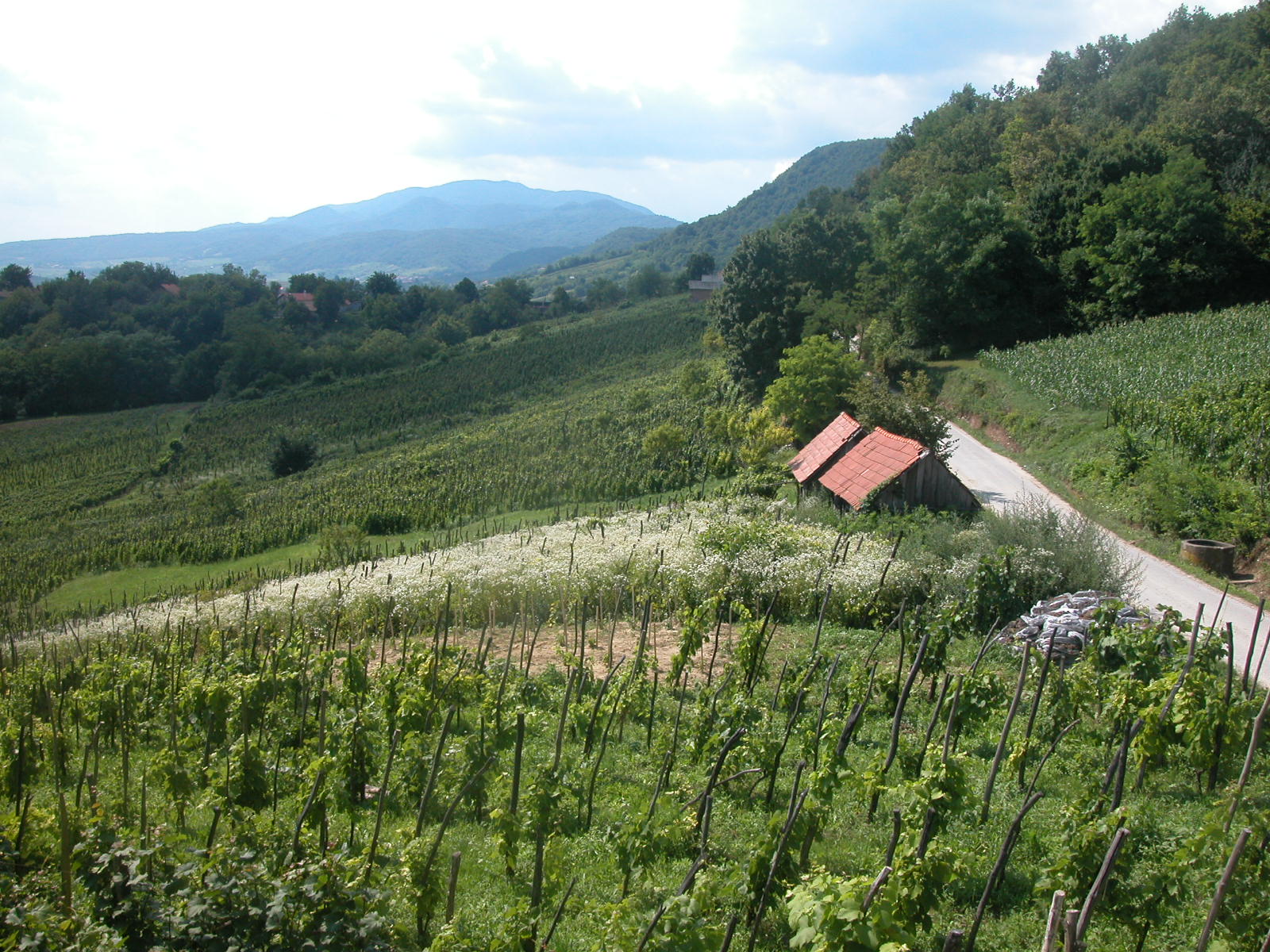Tuheljske Toplice (2010)