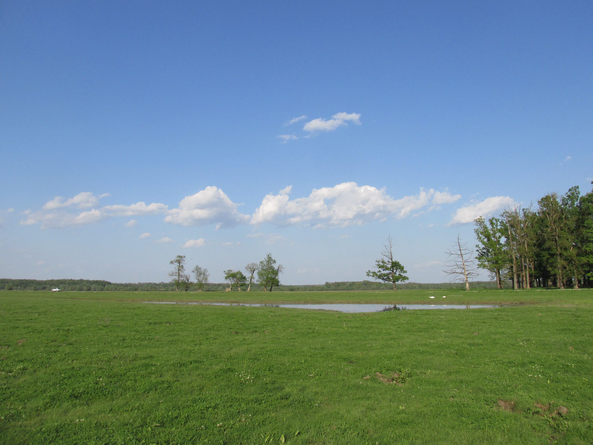 Stručna ekskurzija – Lonjsko polje